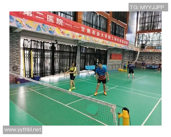 西安羽毛球队运营模式分析与发展前景探讨